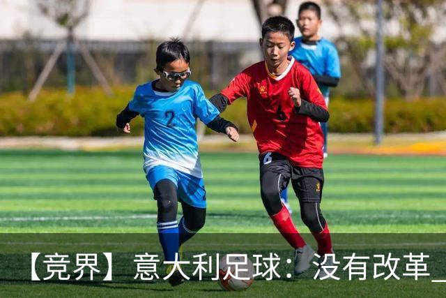 【竞界】意大利足球：没有改革 只有新的补锅匠
