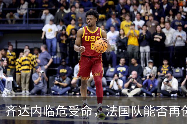 齐达内临危受命，法国队能否再创奇迹？